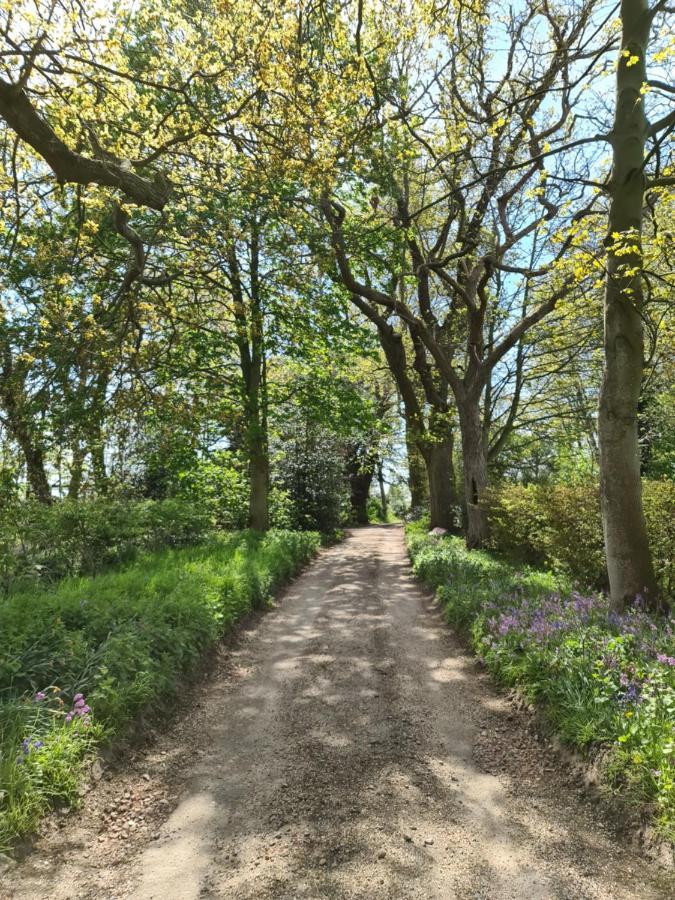 Sloley Hall Tunstead  エクステリア 写真