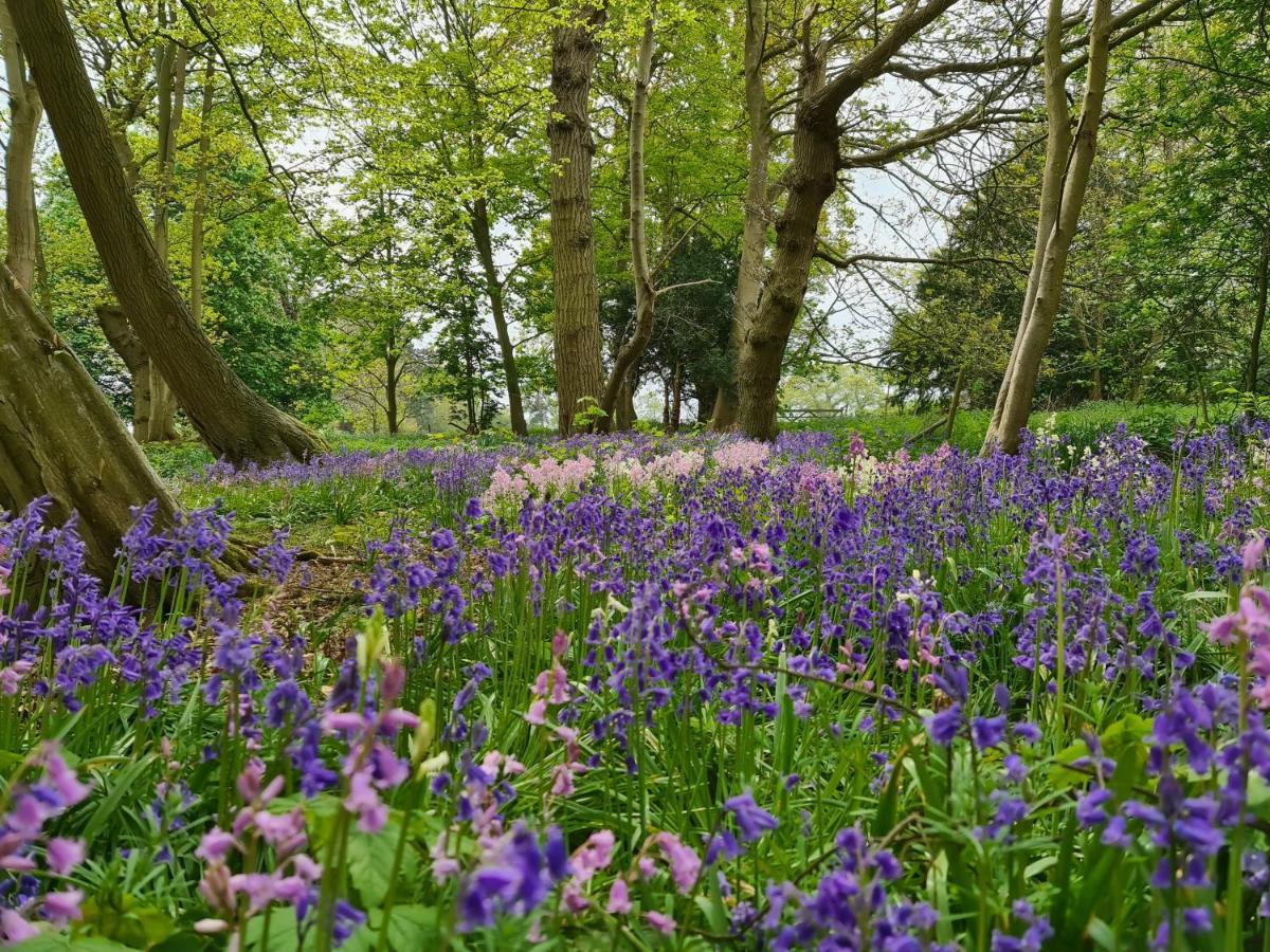 Sloley Hall Tunstead  エクステリア 写真